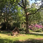 Hollicarrs - Honeycomb Lodge *