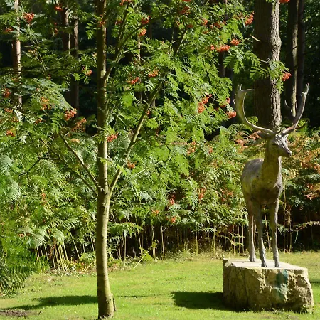 Lodge Hollicarrs - Honeycomb *