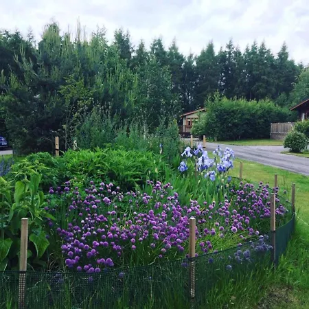 Hollicarrs - Honeycomb Lodge *