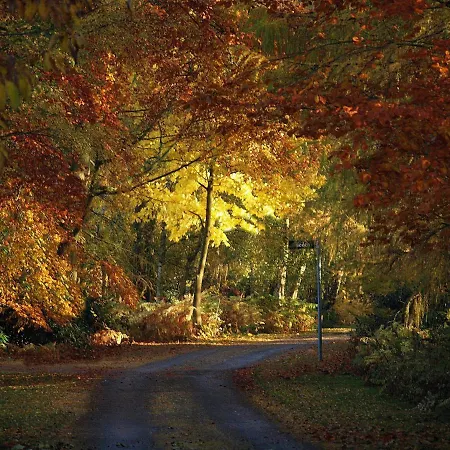 Lodge Hollicarrs - Honeycomb *