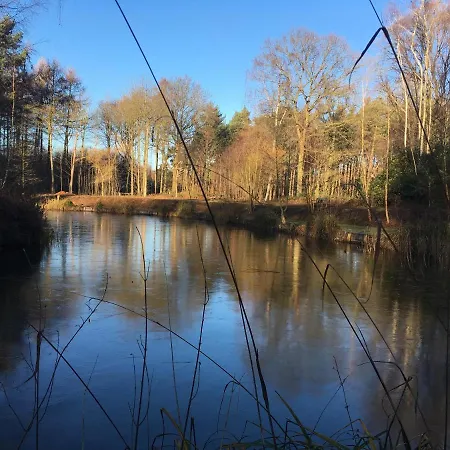 Lodge Hollicarrs - Honeycomb *