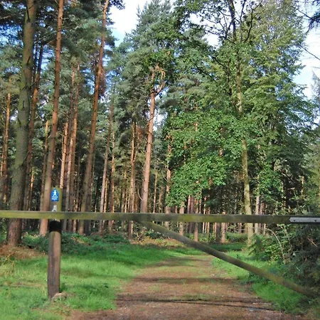 Hollicarrs - Honeycomb Lodge York