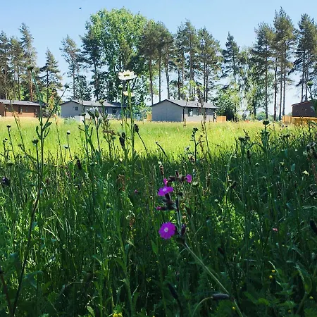 Hollicarrs - Honeycomb