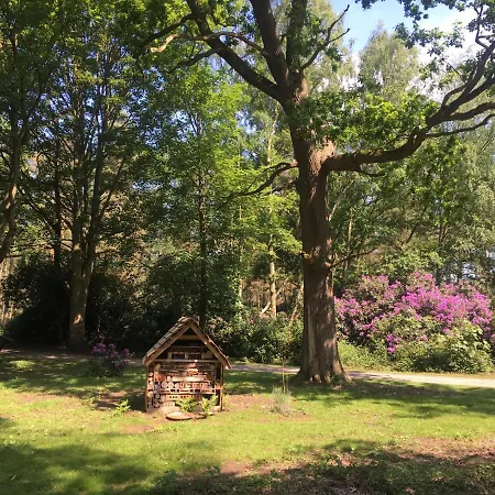 Hollicarrs - Honeycomb Lodge *