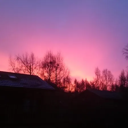 Hollicarrs - Honeycomb Lodge