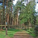 Hollicarrs - Honeycomb Lodge York